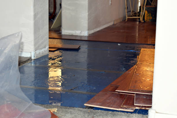 Professional Basement Flooding technician working in Brownstown, PA